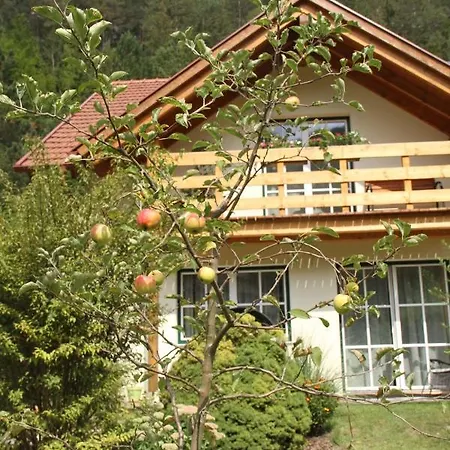 Apartment Ferienwohnung Purbach *